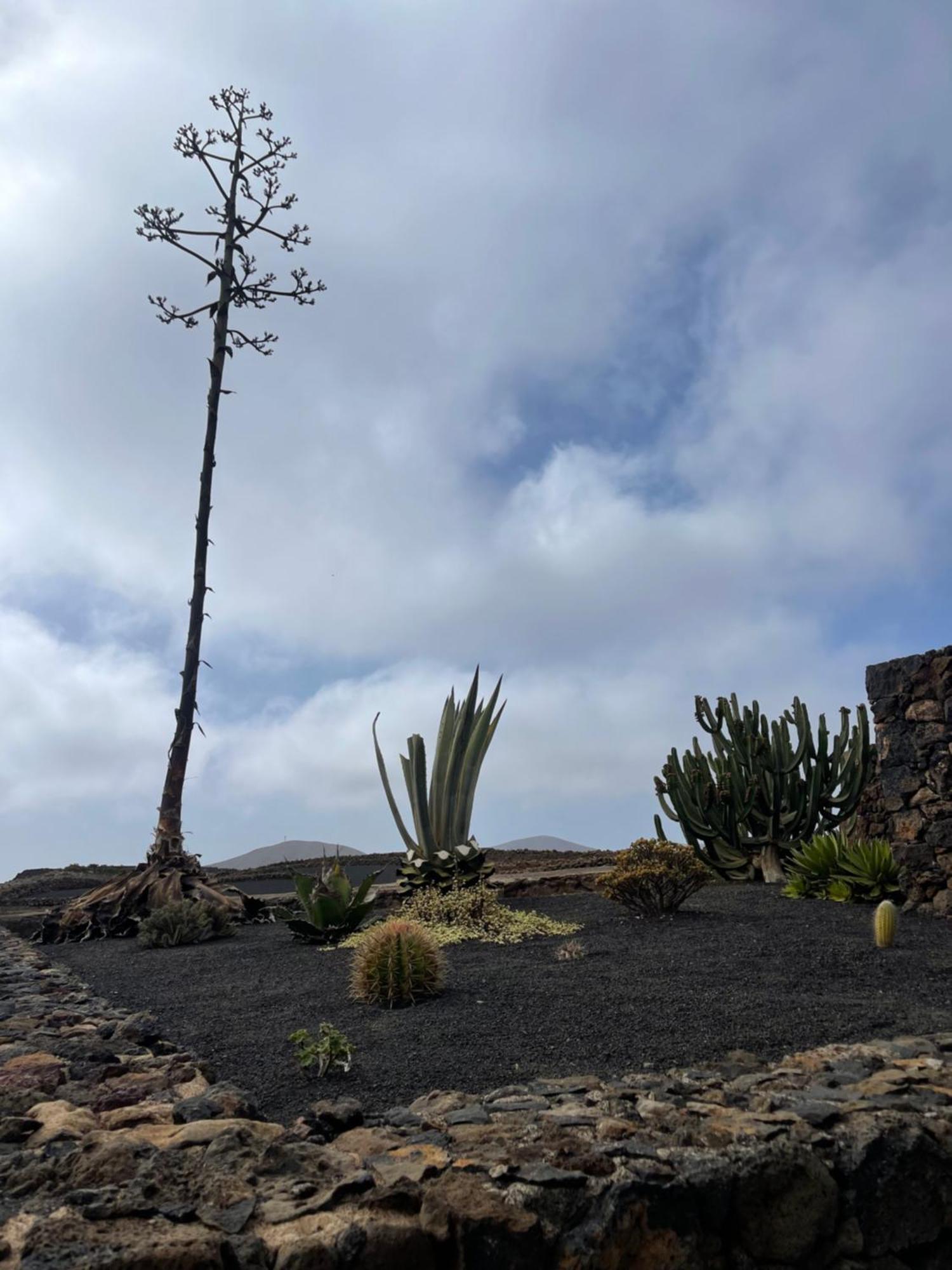 Villa Timanfaya Tinajo Luaran gambar