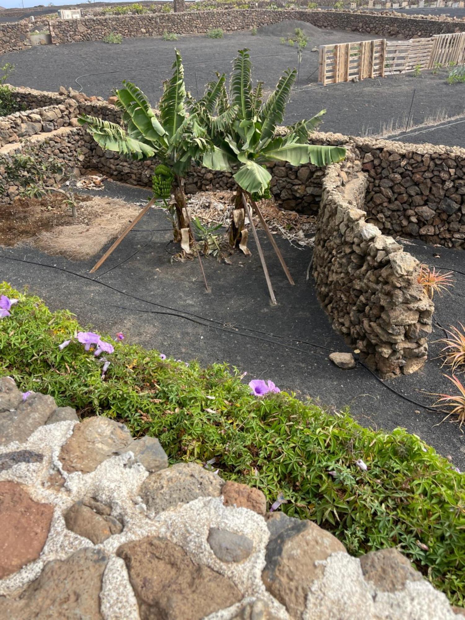 Villa Timanfaya Tinajo Luaran gambar