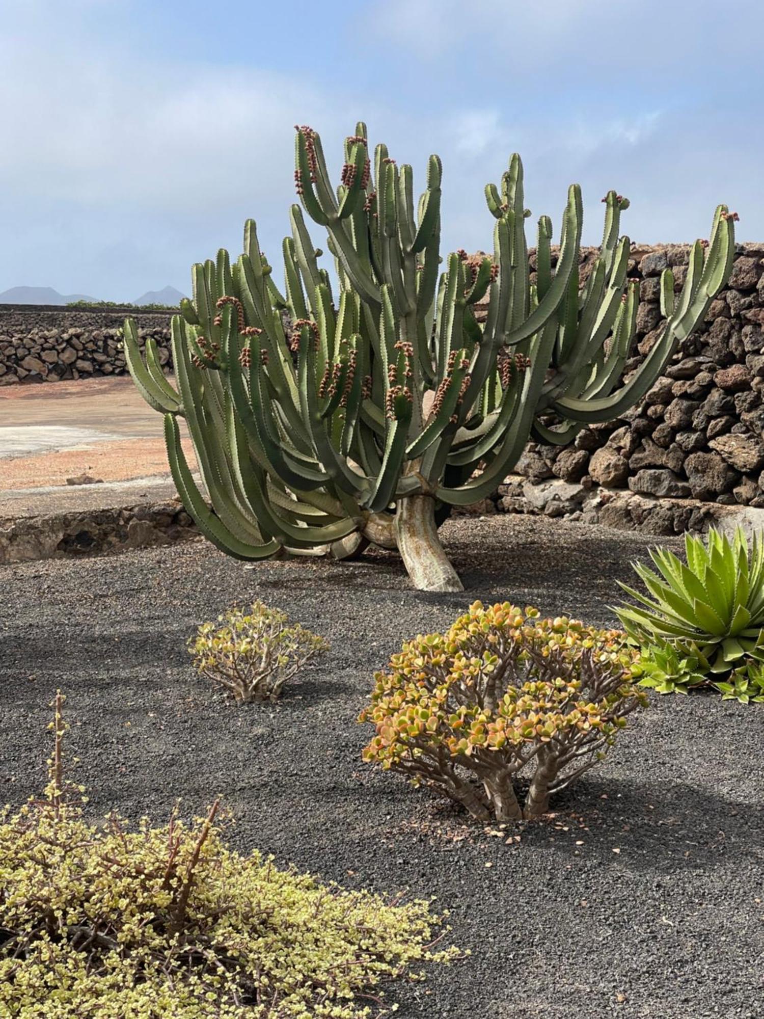 Villa Timanfaya Tinajo Luaran gambar